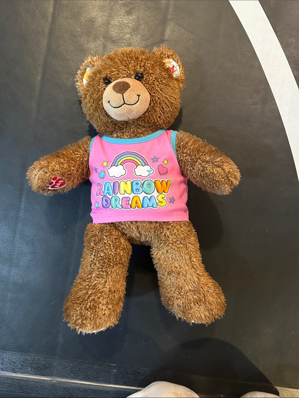 Build-A-Bear Brown Teddy in Pink Rainbow Shirt
